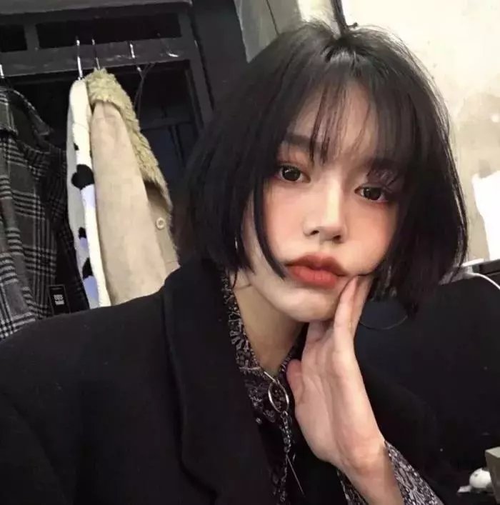 森林之北