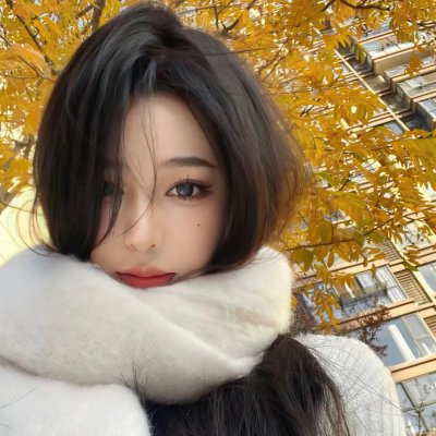 奥迈耶的痴梦