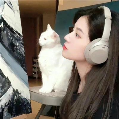 虹牛
